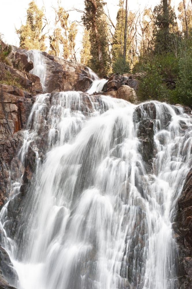 Stevenson Falls in the Yarra Valley, near Melbourne