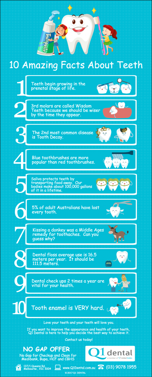 10-Amazing-Facts-About-Teeth@2x 10-Amazing-Facts-About-Teeth